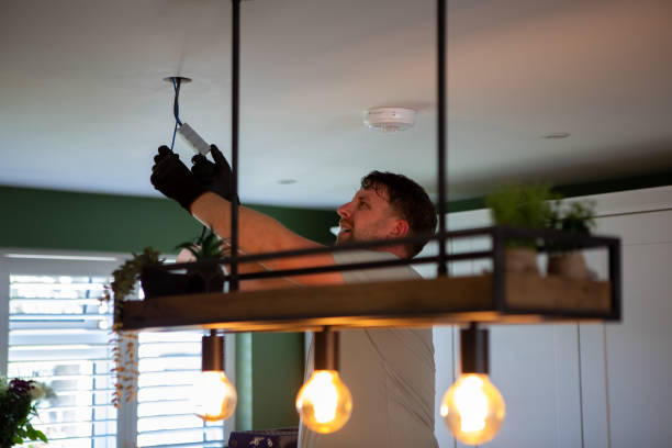 Best Electric Panel Repair  in Newburgh Heights, OH